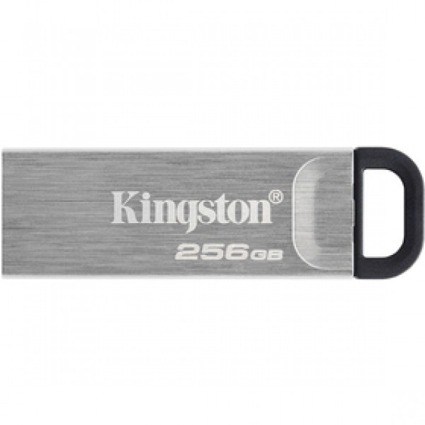 DTKN/256GB 256GB USB3.2 Gen 1 KINGSTON